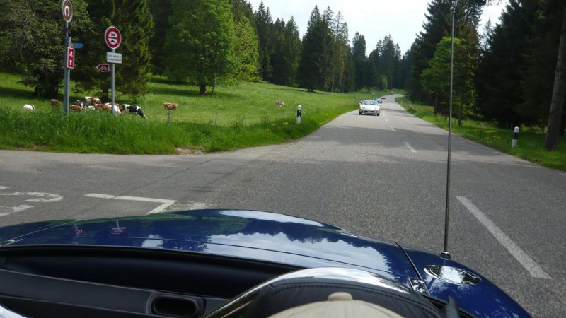 photo10.jpg