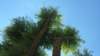 photo8_small.jpg