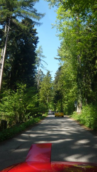 photo11.jpg