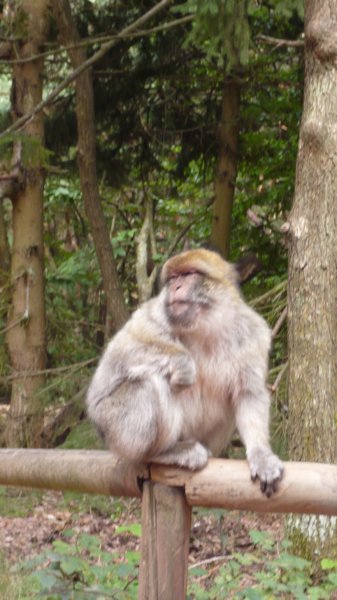photo10.jpg