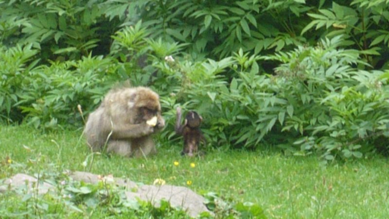 photo18.jpg