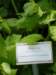 fee00ad5f457aa8f811615447c381_small.jpg