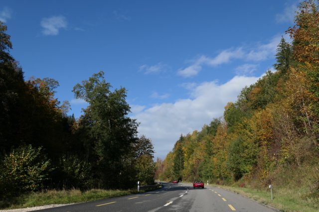 p1000663.jpg